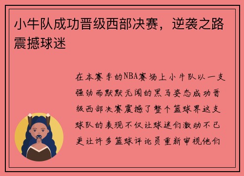 小牛队成功晋级西部决赛，逆袭之路震撼球迷